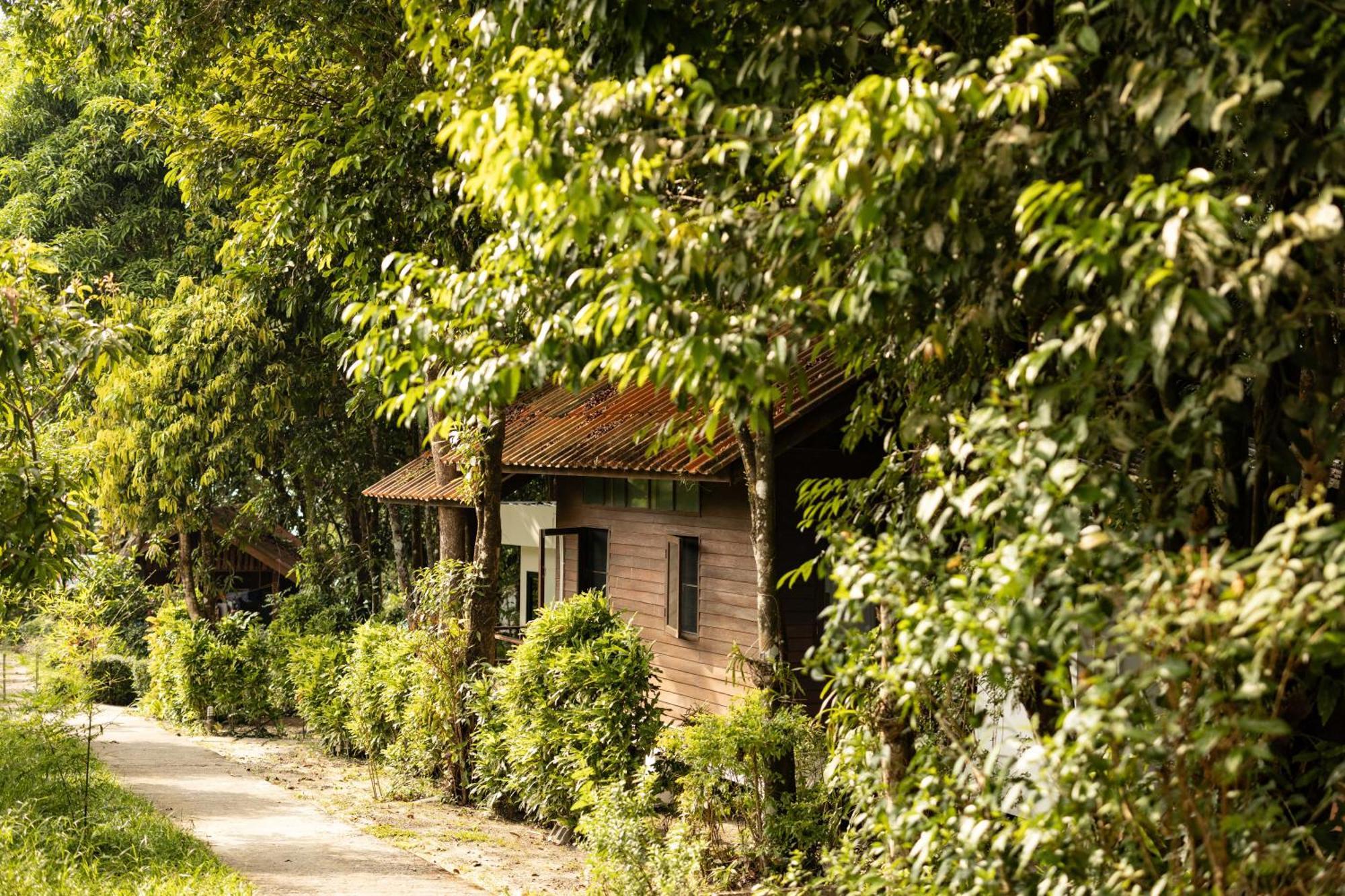 Barefoot Project Formerly Baan Klong Kleng Koh Phayam Exterior foto